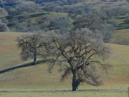 California2007-2008-009